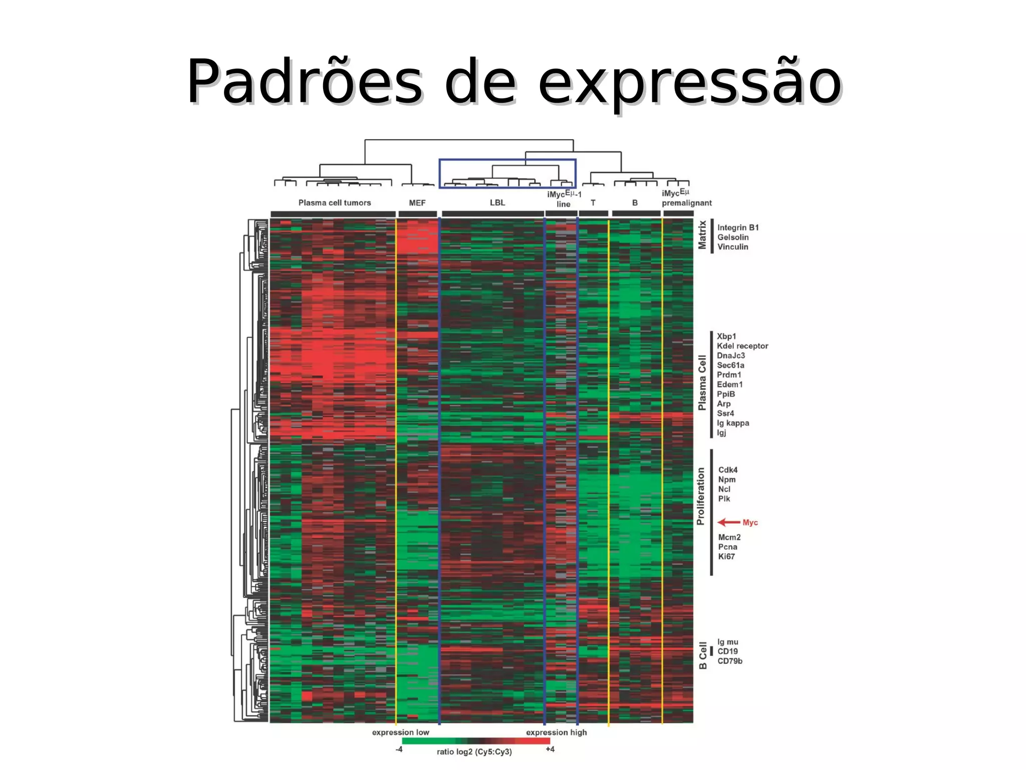 Padrões de expressão
 