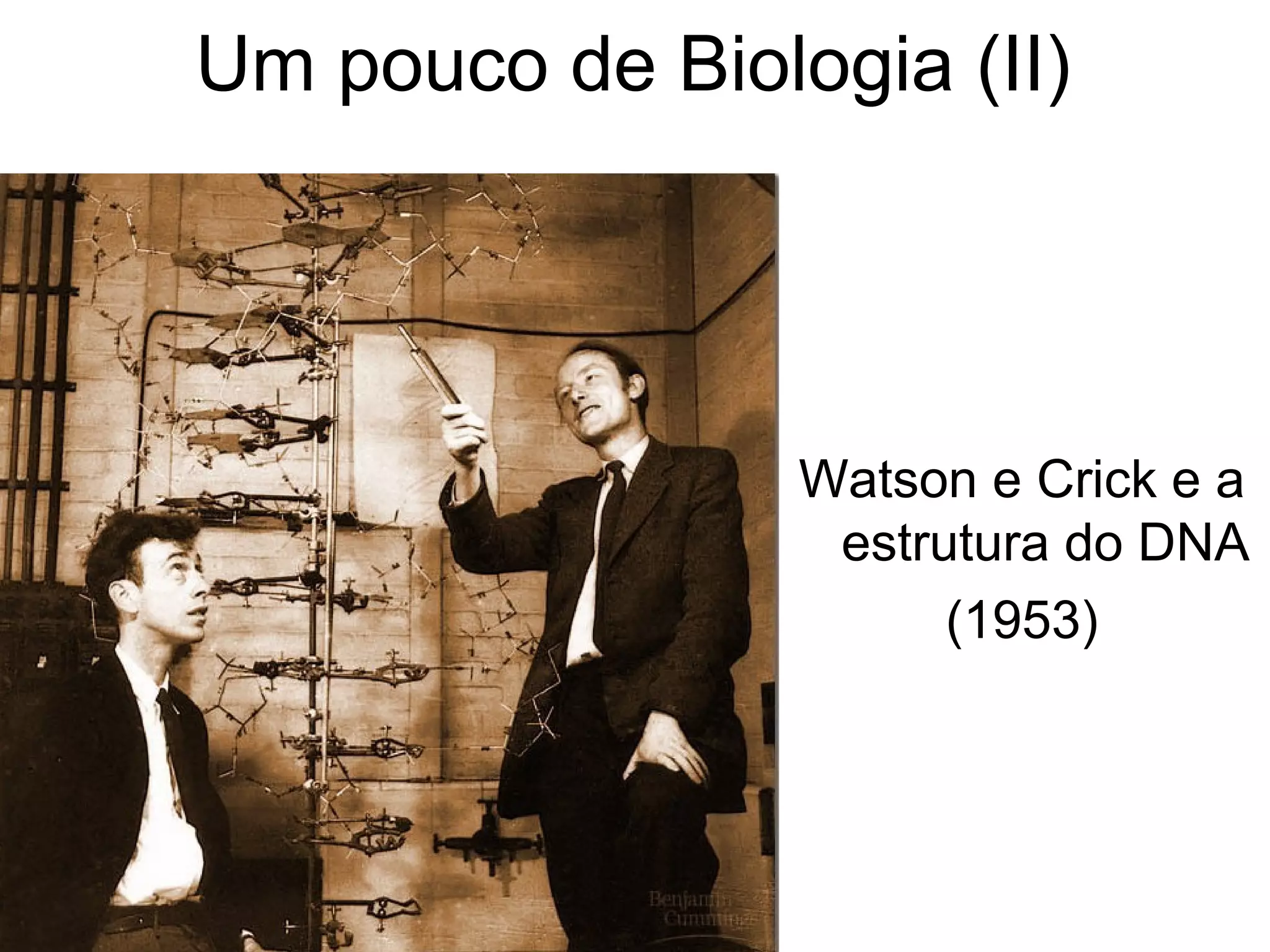 Um pouco de Biologia (II)




                 Watson e Crick e a
                  estrutura do DNA
                       (1953)
 