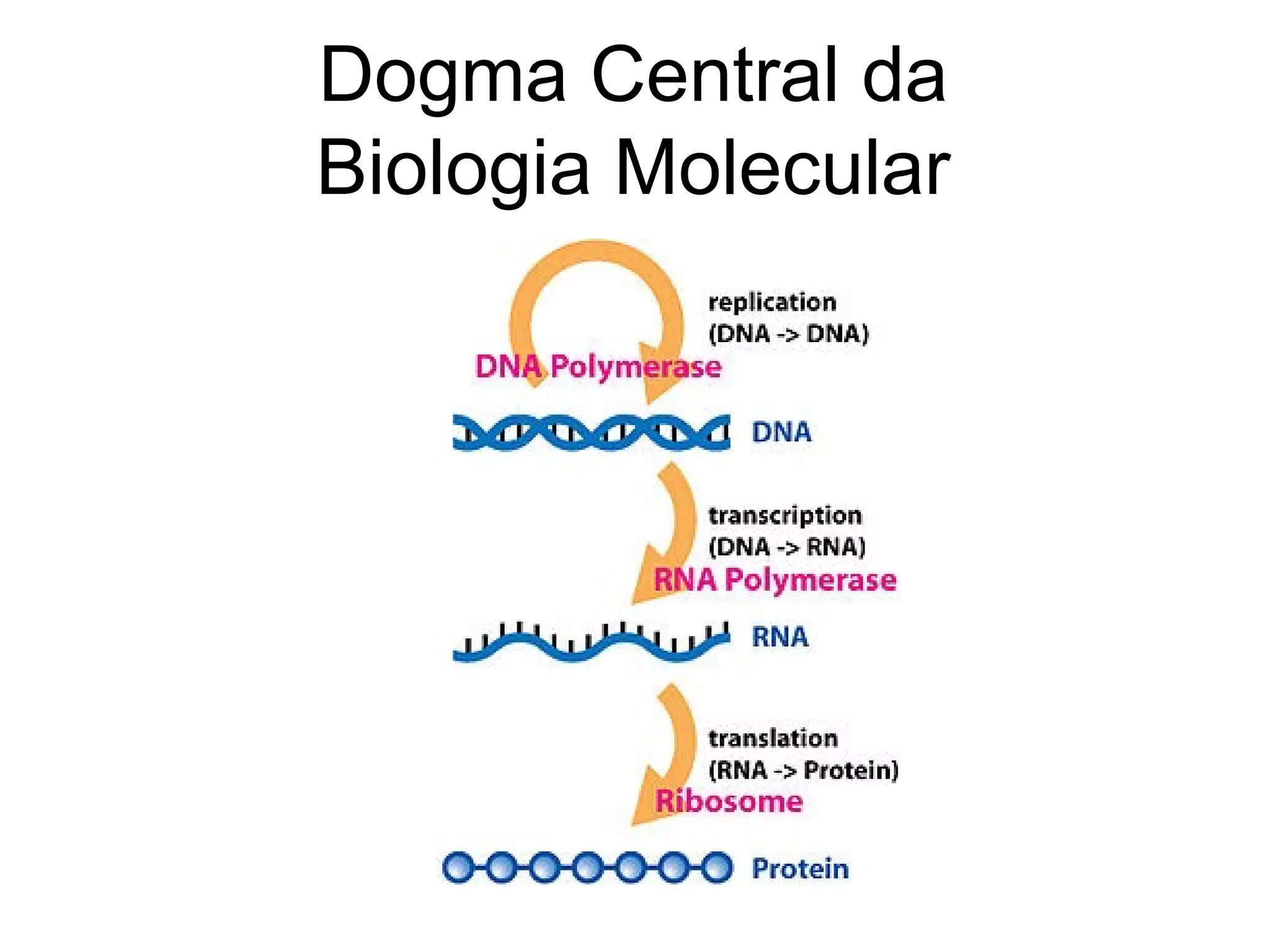 Dogma Central da
Biologia Molecular
 