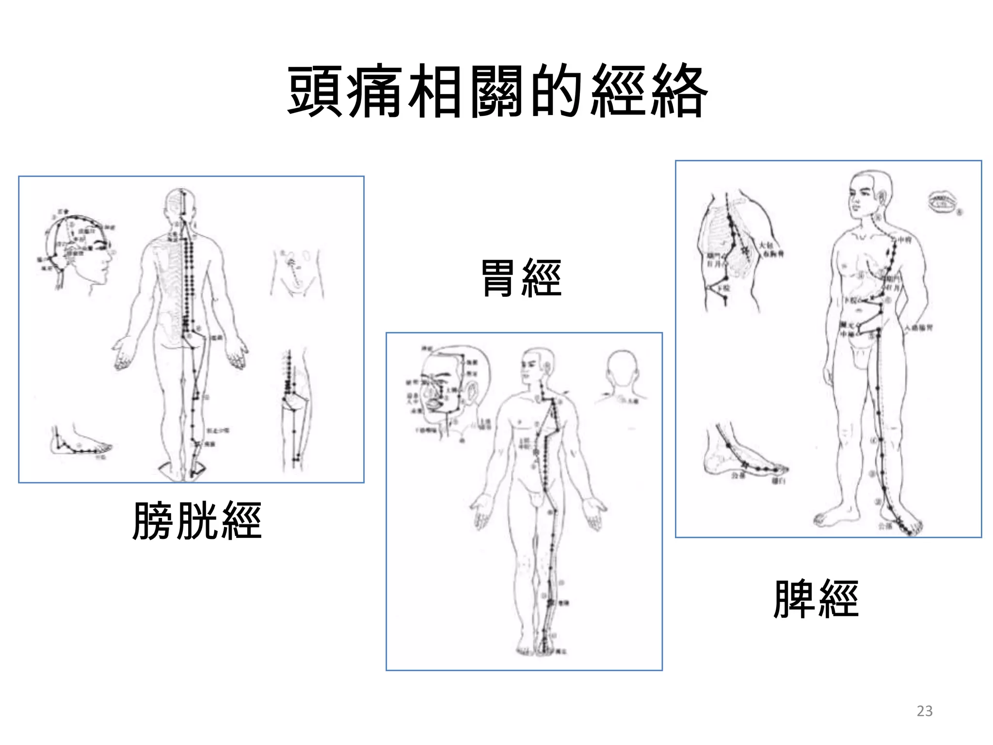 頭痛相關的經絡

         胃經




膀胱經
                脾經

                     23
 