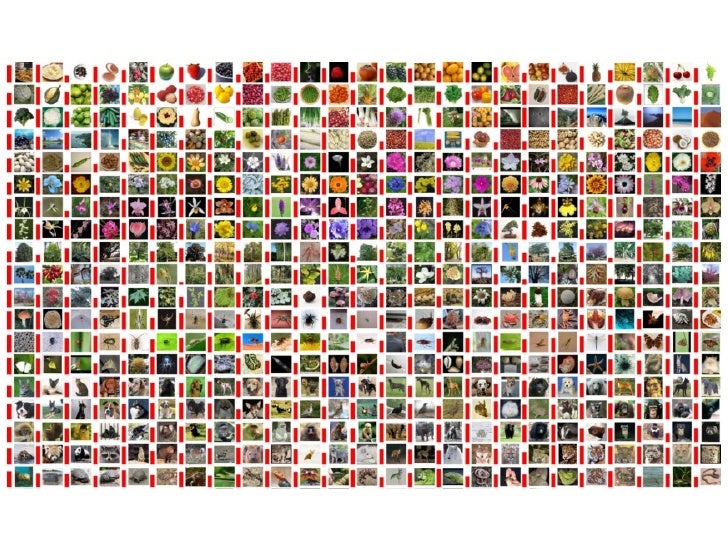 cvpr 2011 imagenet challenge 24 728