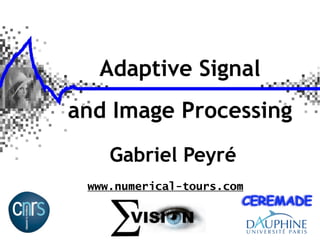 Adaptive Signal
and Image Processing
    Gabriel Peyré
 www.numerical-tours.com
 