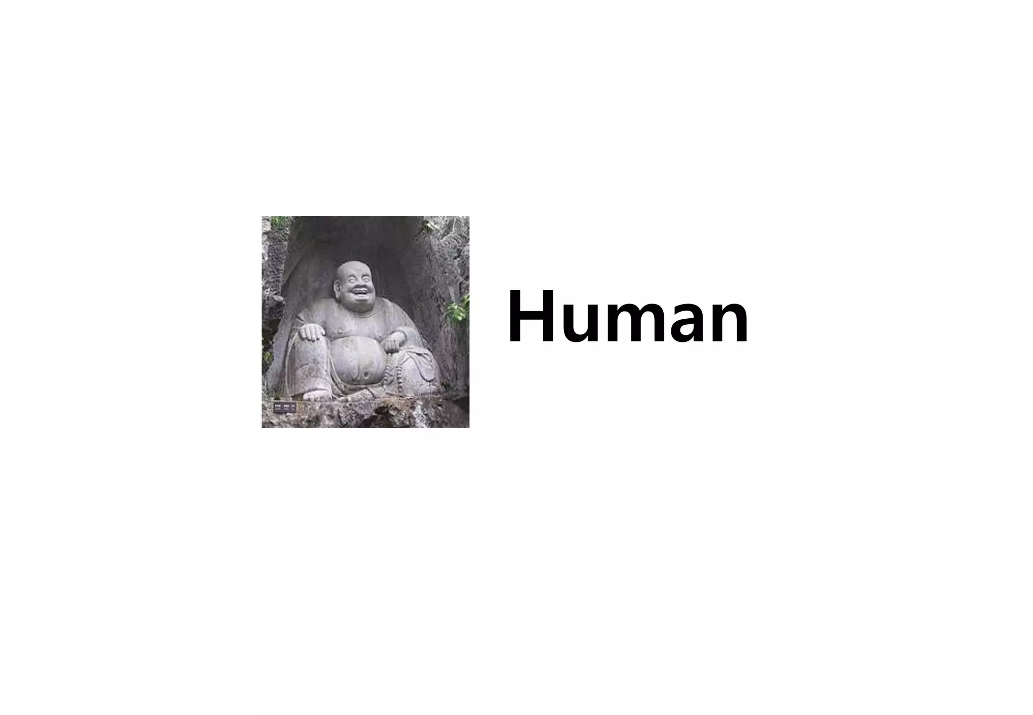 Human
 