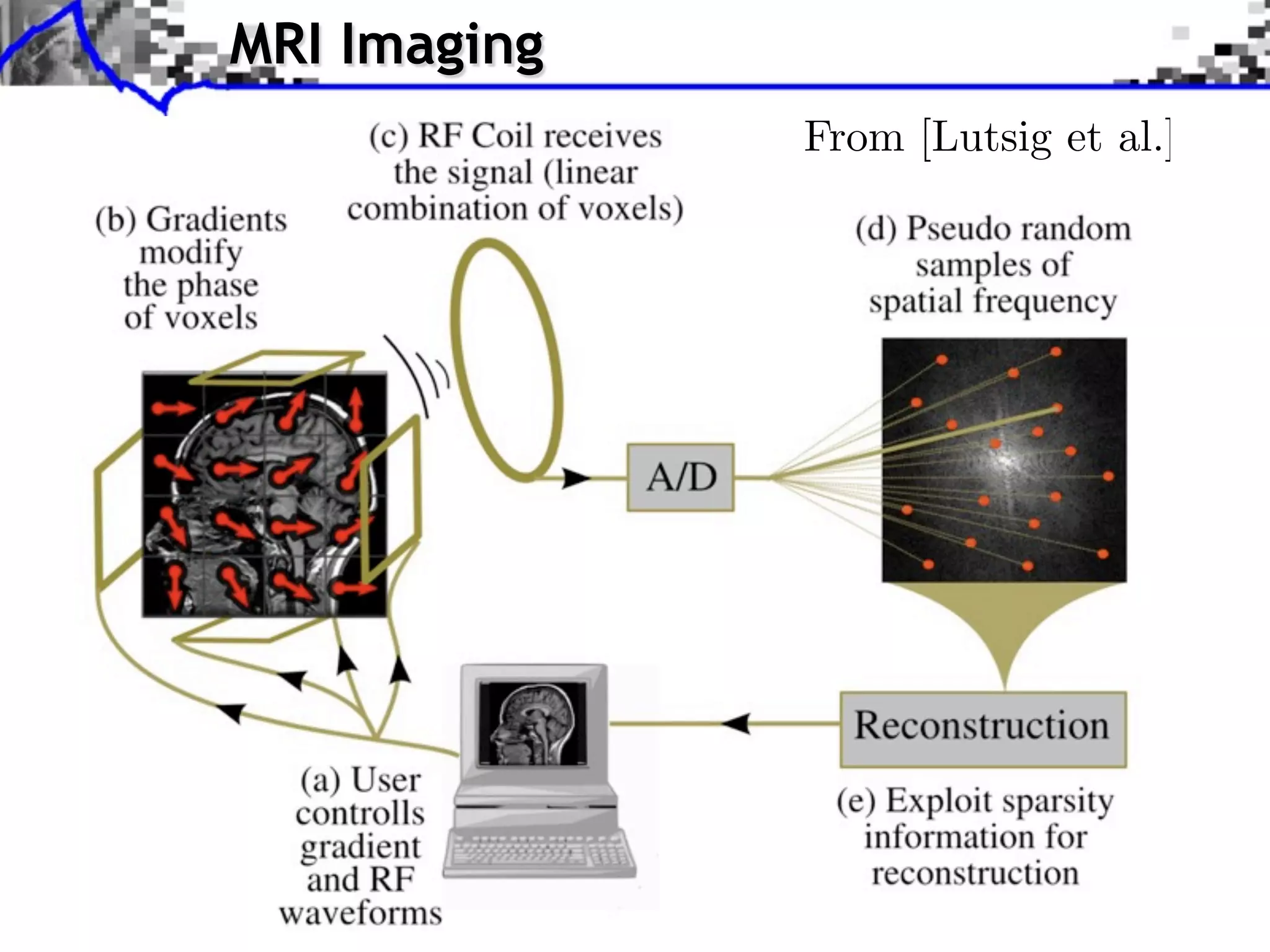 MRI Imaging
              From [Lutsig et al.]
 