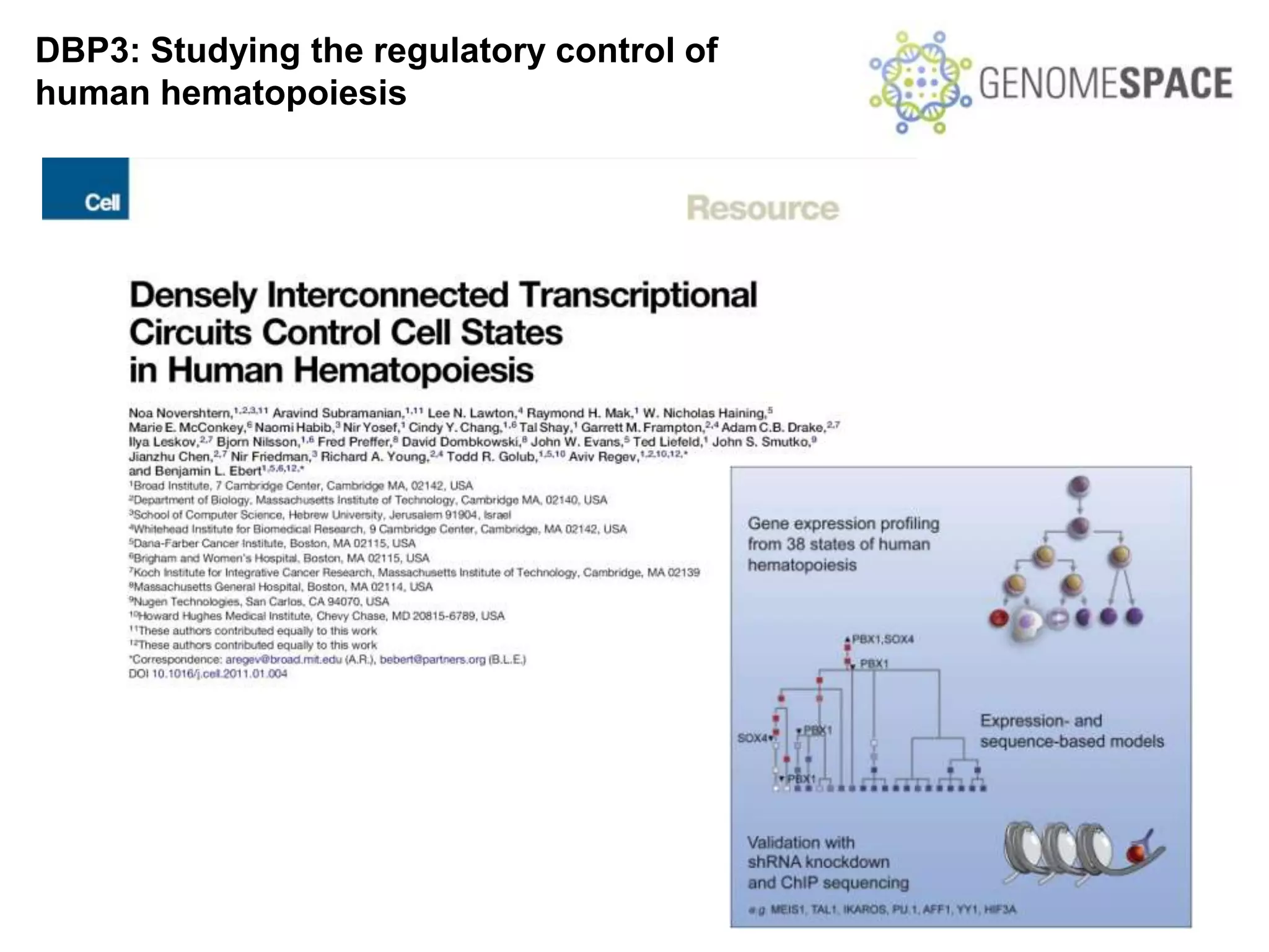 DBP3: Studying the regulatory control of
human hematopoiesis
 