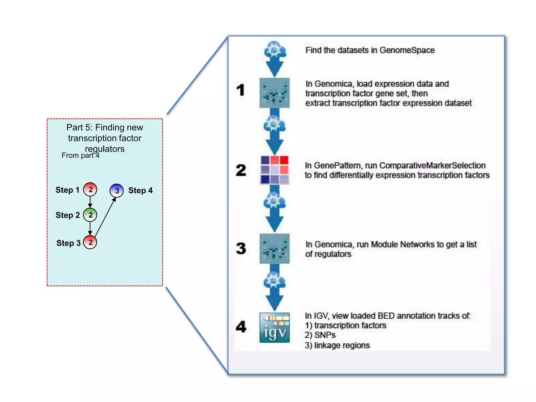 Part 5: Finding new
  transcription factor
       regulators
 From part 4



Step 1   2     3   Step 4


Step 2   2


Step 3 2
 