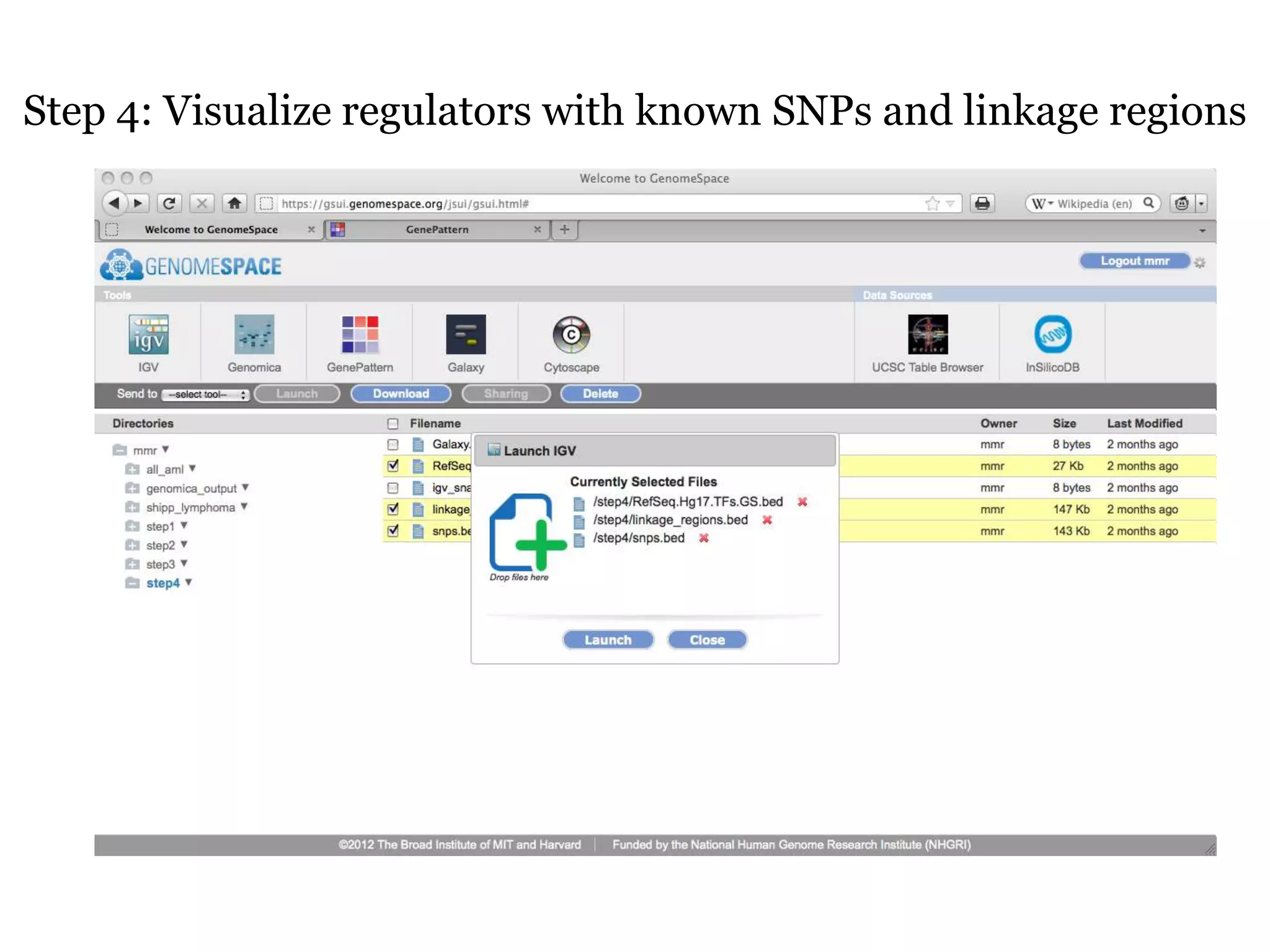 Step 4: Visualize regulators with known SNPs and linkage regions
 