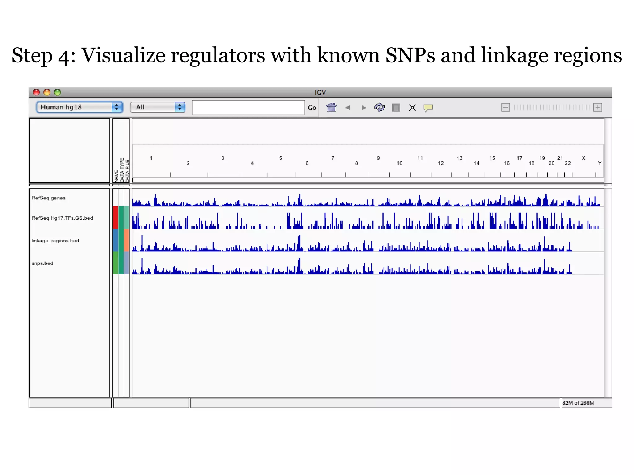 Step 4: Visualize regulators with known SNPs and linkage regions
 