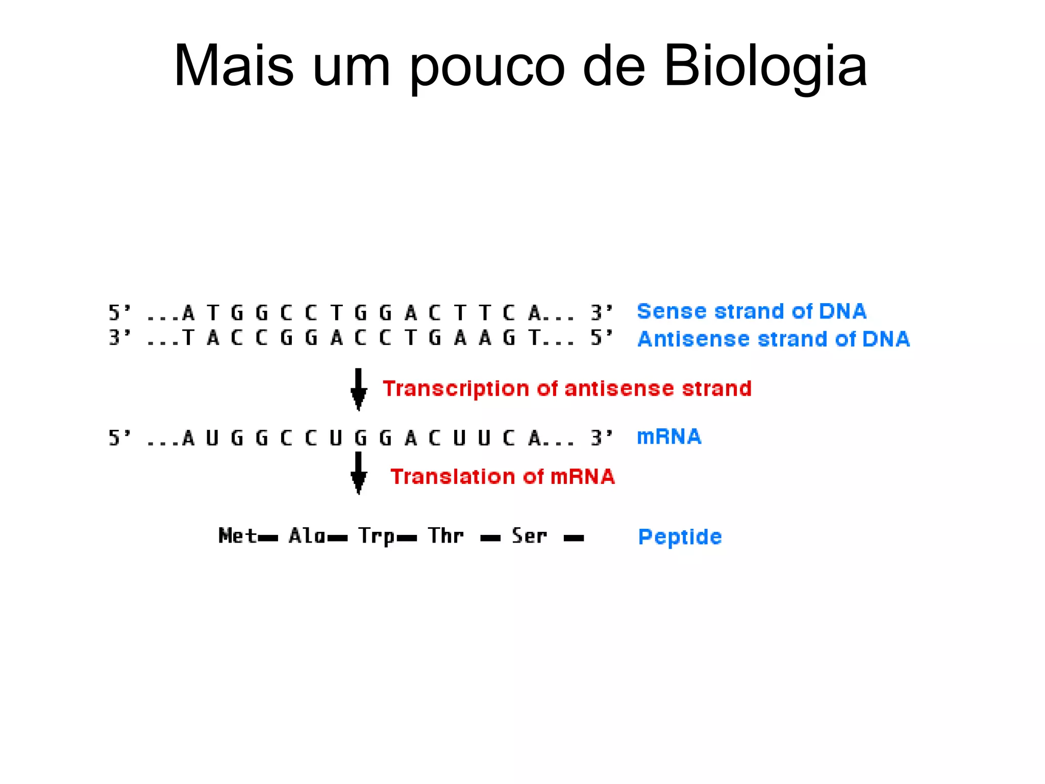 Mais um pouco de Biologia
 