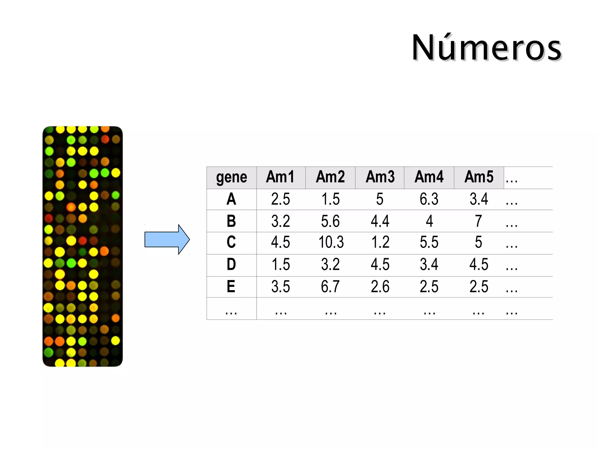 Medida de expressão gênica
     (ex: microarrays)




          Figuras: http://www.chrisdellavedova.com
    http://www.har.mrc.ac.uk/services/MPC/microarray/
 