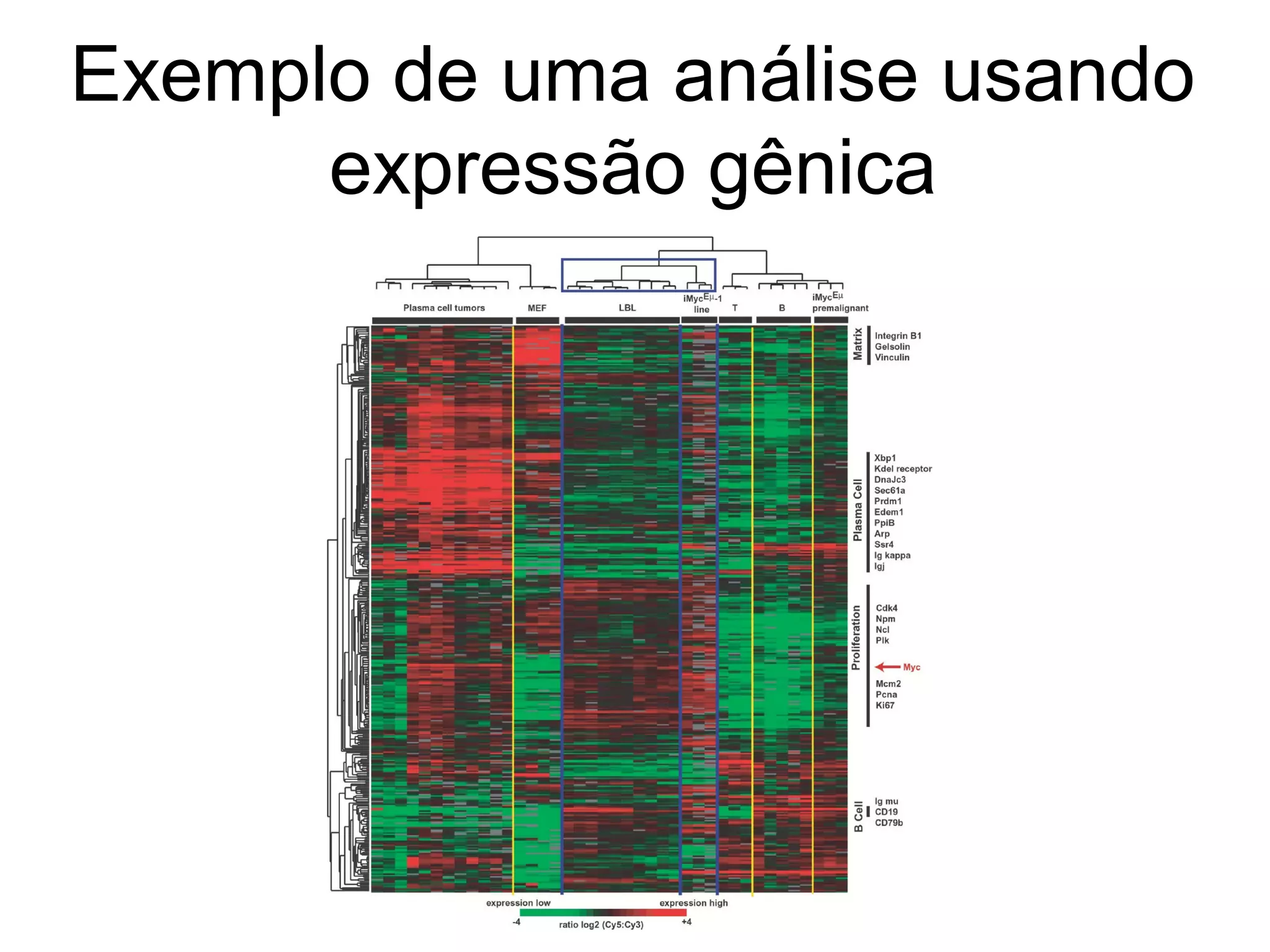 Diseasome (rede das doenças)
 