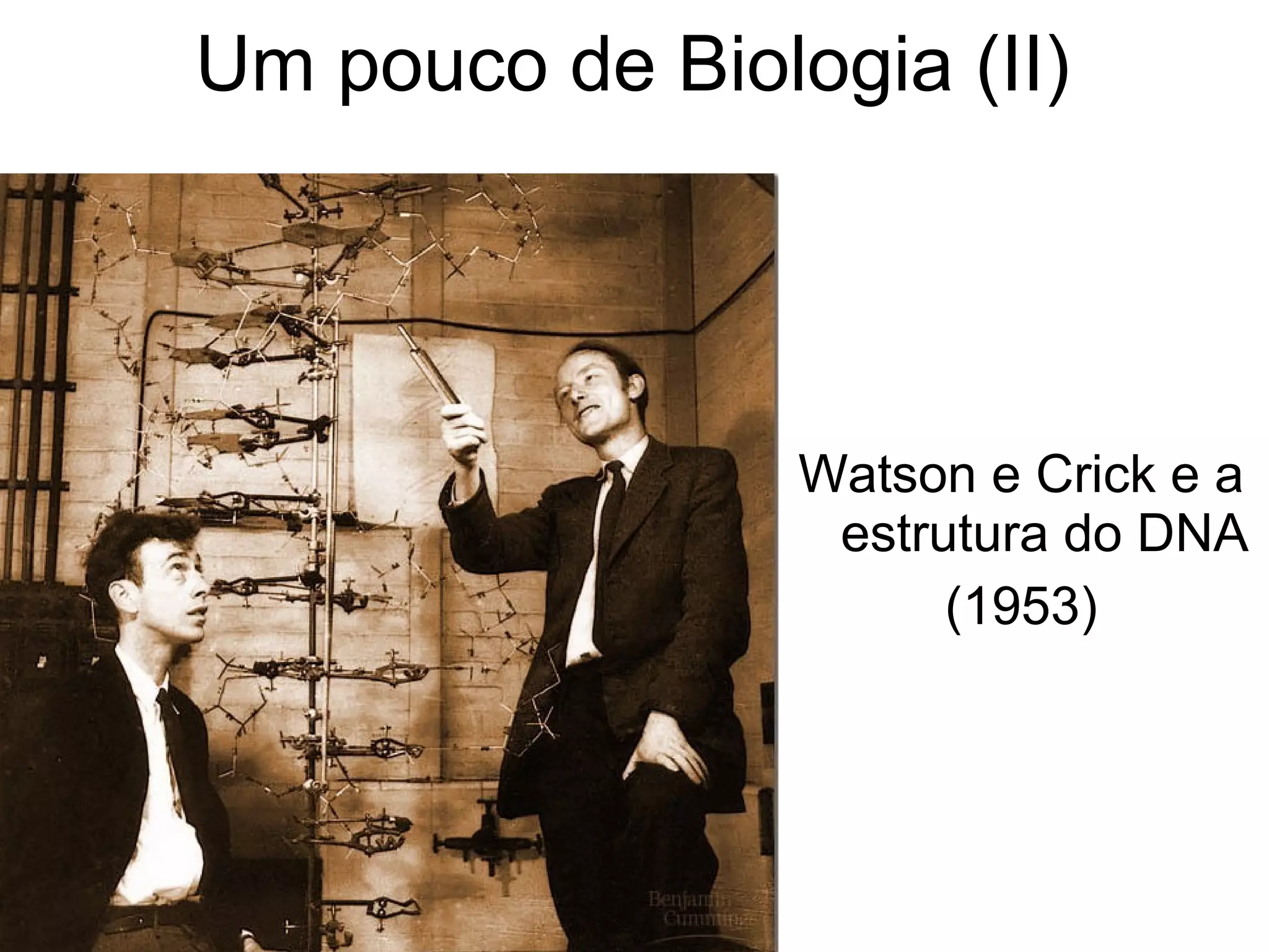 Um pouco de Biologia (II)




                 Watson e Crick e a
                  estrutura do DNA
                       (1953)
 