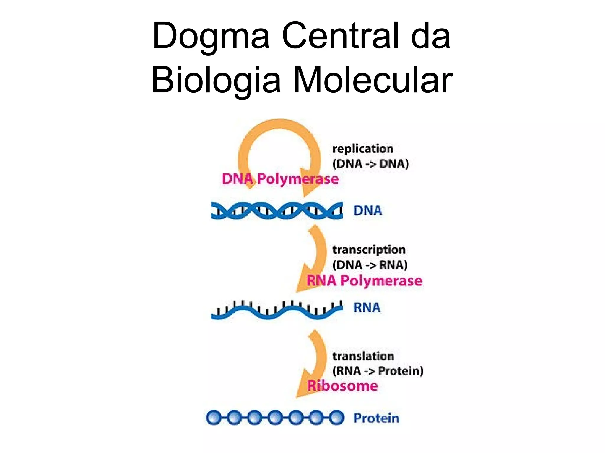 Dogma Central da
Biologia Molecular
 