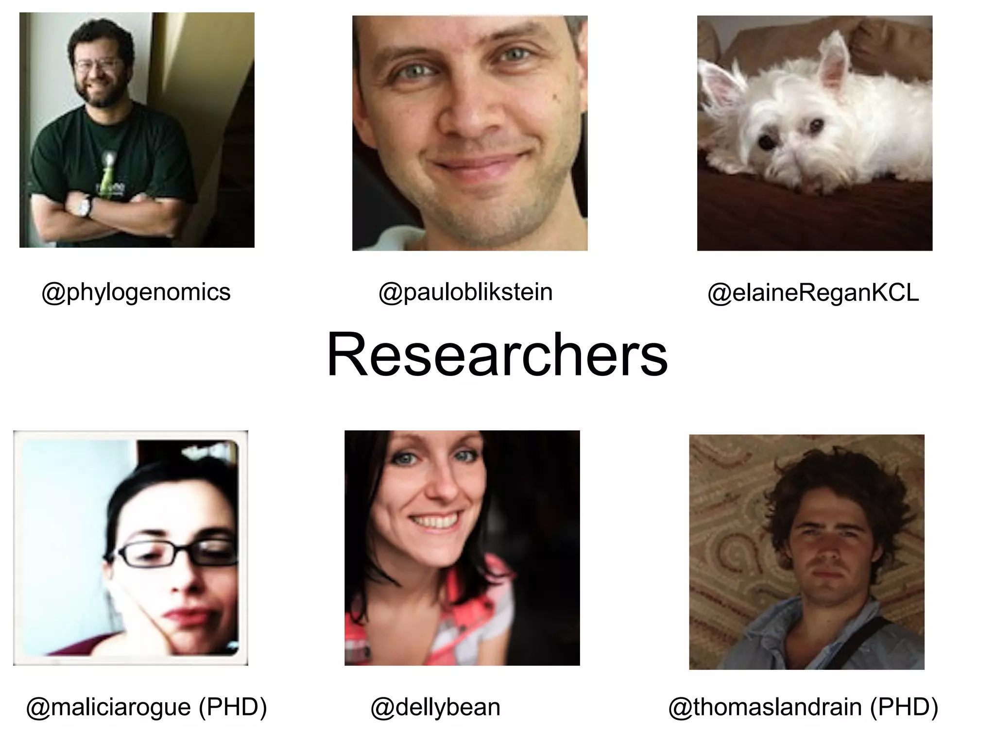 @phylogenomics        @pauloblikstein      @elaineReganKCL

                      Researchers




@maliciarogue (PHD)    @dellybean        @thomaslandrain (PHD)
 