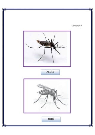 41
Lampiran 1
AEDES
41 TIRUK
 