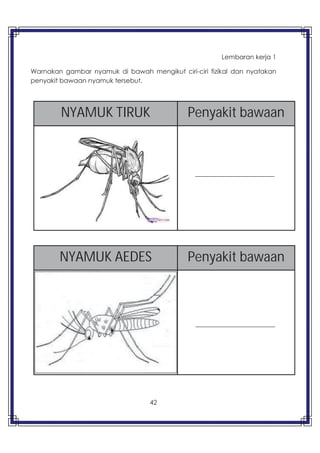 42
Lembaran kerja 1
Warnakan gambar nyamuk di bawah mengikut ciri-ciri fizikal dan nyatakan
penyakit bawaan nyamuk tersebut.
___________________________
___________________________
NYAMUK TIRUK Penyakit bawaan
NYAMUK AEDES Penyakit bawaan
 