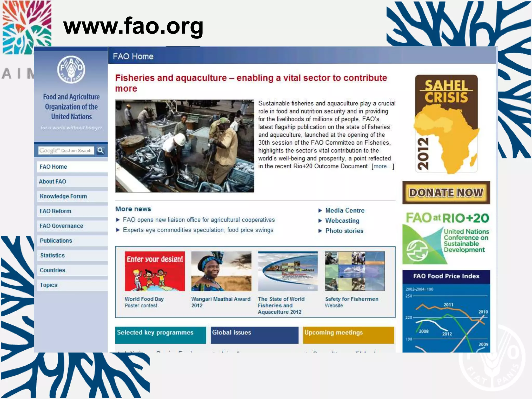 www.fao.org
 