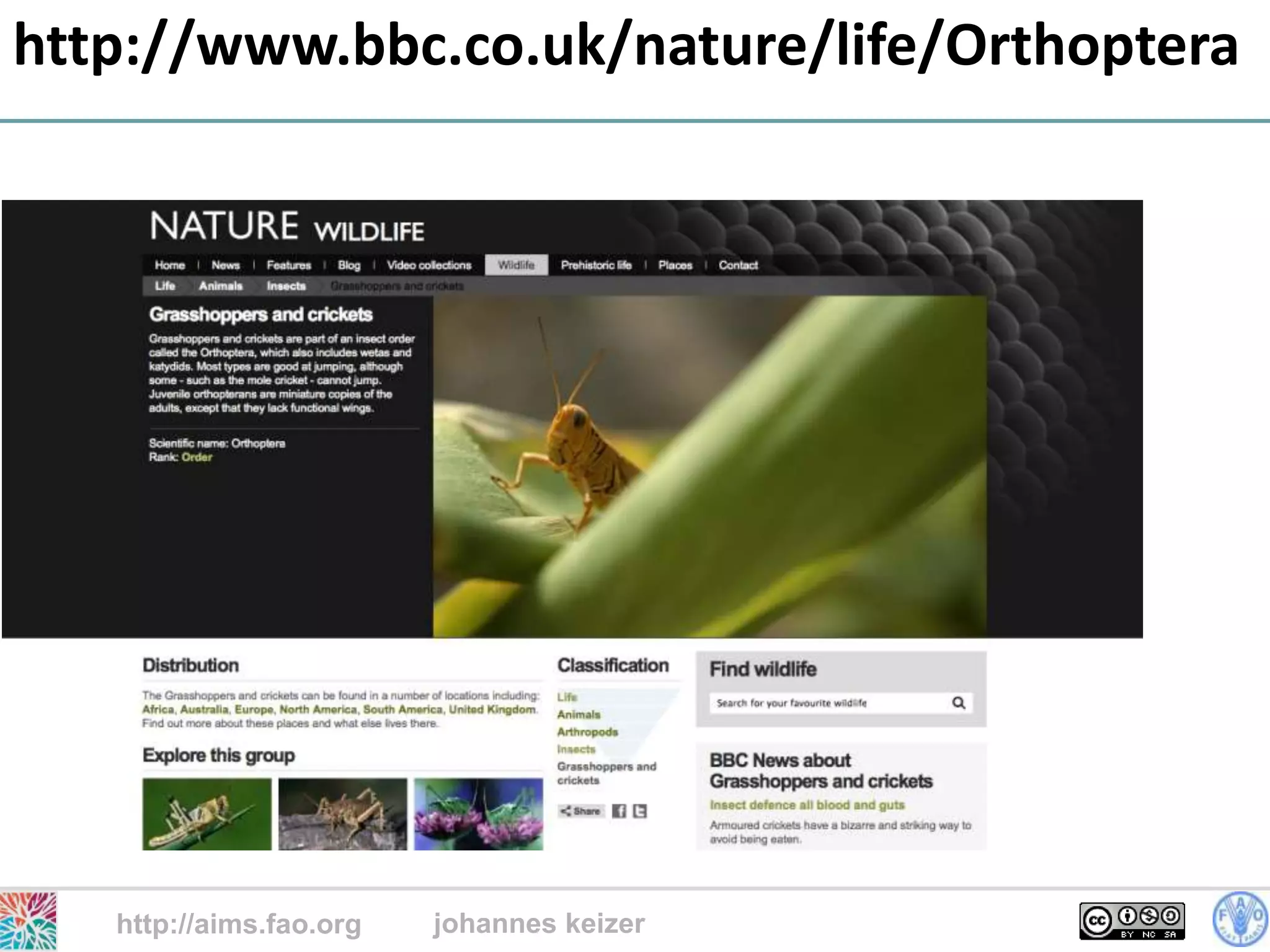http://www.bbc.co.uk/nature/life/Orthoptera




   http://aims.fao.org   johannes keizer
                                           22
 