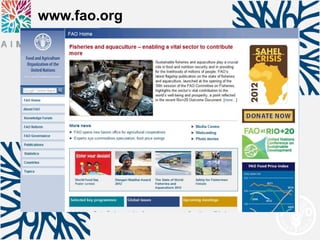 www.fao.org
 