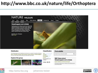 http://www.bbc.co.uk/nature/life/Orthoptera




   http://aims.fao.org   johannes keizer
                                           22
 