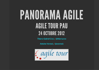 PANORAMA AGILE
   AGILE TOUR PAU
    24 OCTOBRE 2012
   Thierry Gabriel Cros / @thierrycros

      Antoine Vernois / @avernois
 