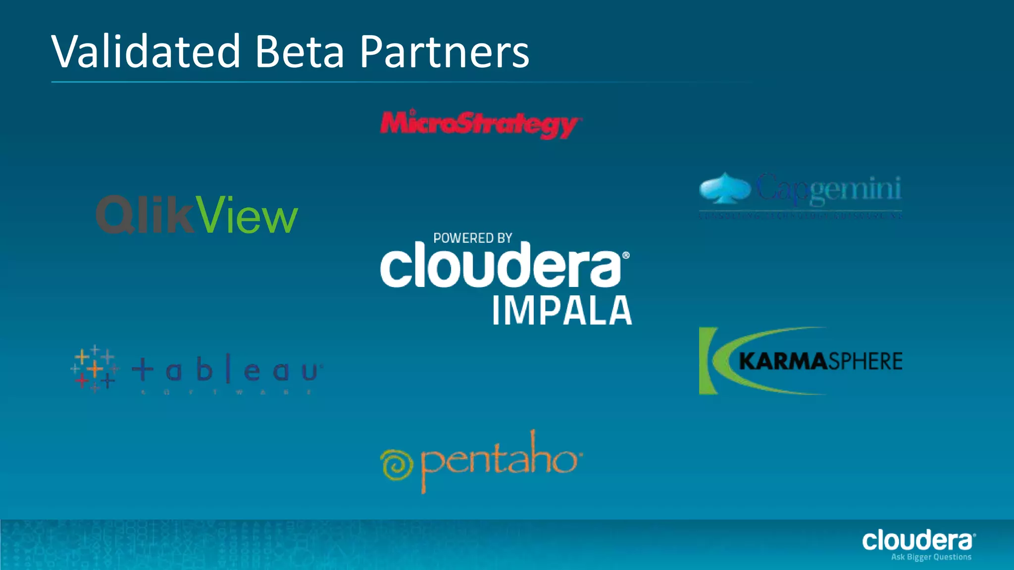 Validated Beta Partners
 