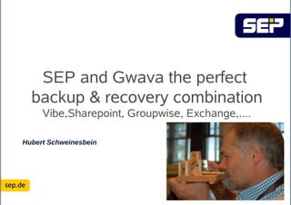 SEP and Gwava the perfect
  backup & recovery combination
     Vibe,Sharepoint, Groupwise, Exchange,....

Hubert Schweinesbein
 