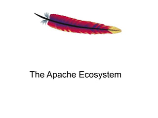The Apache Ecosystem
 