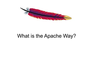 What is the Apache Way?
 