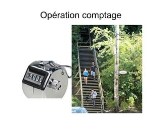 Opération comptage
 