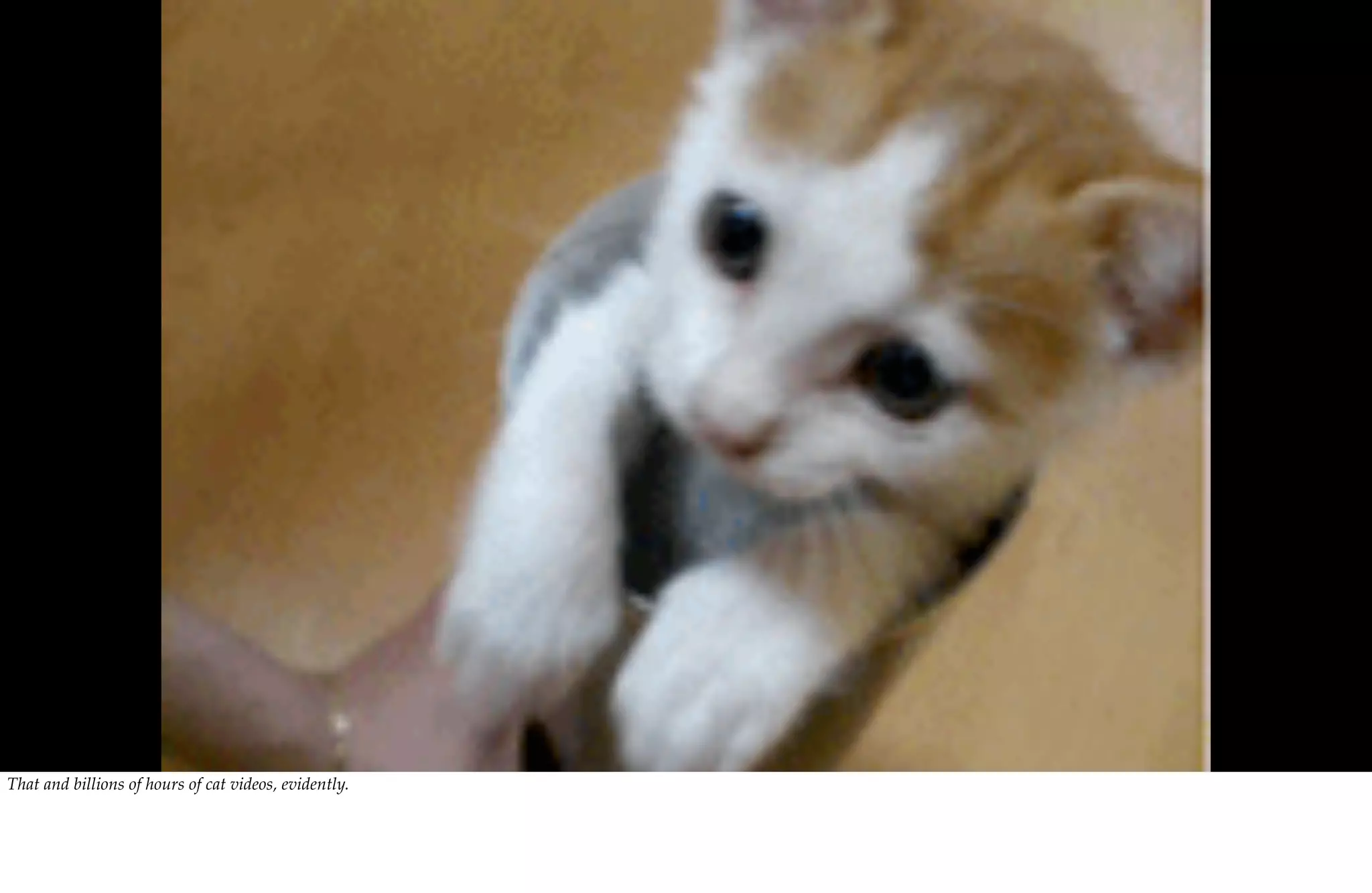 That and billions of hours of cat videos, evidently.
 