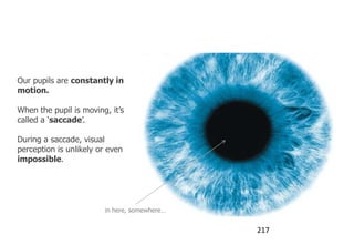 Pupils move a lot



Our pupils are constantly in
motion.

When the pupil is moving, it‟s
called a „saccade‟.

During a saccade, visual
perception is unlikely or even
impossible.




                        in here, somewhere…


                                              217
 