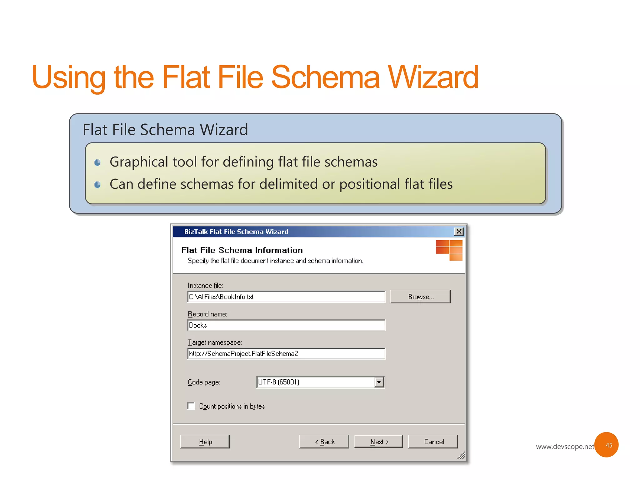 Flat File Schema Wizard
   Graphical tool for defining flat file schemas
   Can define schemas for delimited or positional flat files




                                                               www.devscope.net   45
 