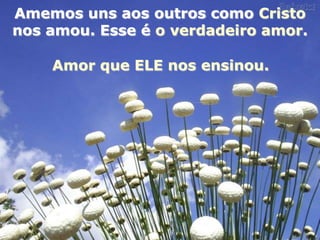 Amemos uns aos outros como Cristo
nos amou. Esse é o verdadeiro amor.

    Amor que ELE nos ensinou.
 