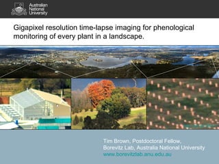 Gigapixel resolution time-lapse imaging for phenological
monitoring of every plant in a landscape.




                                                            http://bit.ly/CBR-1


                           Tim Brown, Postdoctoral Fellow,
                           Borevitz Lab, Australia National University
                           www.borevitzlab.anu.edu.au
 