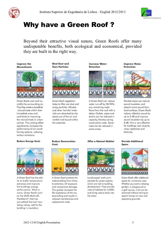 disadvantages of green roofs disadvantages of green roofs