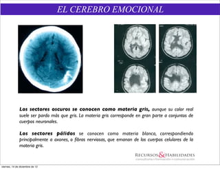 EL CEREBRO EMOCIONAL




              Los sectores oscuros se conocen como materia gris, aunque su color real
              suele ser pardo más que gris. La materia gris corresponde en gran parte a conjuntos de
              cuerpos neuronales.

              Los sectores pálidos se conocen como materia blanca, correspondiendo
              principalmente a axones, o ﬁbras nerviosas, que emanan de los cuerpos celulares de la
              materia gris.


viernes, 14 de diciembre de 12
 
