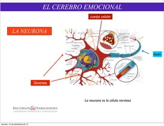EL CEREBRO EMOCIONAL
                                                    cuerpo celular


            LA NEURONA


                                                                                    Axón




                                 Dentritas



                                                 La neurona es la célula nerviosa




viernes, 14 de diciembre de 12
 