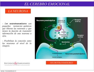 EL CEREBRO EMOCIONAL
              LA NEURONA


   - Los neurotransmisores son
   pequeñas sustancias químicas
   que liberan las neuronas y que
   tienen la función de transmitir
   información de una neurona a
   otra.

   - Posibilitan la conexión entre
   las neuronas al nivel de la
   sinapsis.




                                            NEUROTRANSMISORES


viernes, 14 de diciembre de 12
 