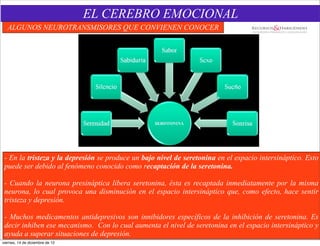 EL CEREBRO EMOCIONAL
   ALGUNOS NEUROTRANSMISORES QUE CONVIENEN CONOCER




 - En la tristeza y la depresión se produce un bajo nivel de seretonina en el espacio intersináptico. Esto
 puede ser debido al fenómeno conocido como recaptación de la seretonina.

 - Cuando la neurona presináptica libera seretonina, ésta es recaptada inmediatamente por la misma
 neurona, lo cual provoca una disminución en el espacio intersináptico que, como efecto, hace sentir
 tristeza y depresión.

 - Muchos medicamentos antidepresivos son innibidores específicos de la inhibición de seretonina. Es
 decir inhiben ese mecanismo. Con lo cual aumenta el nivel de seretonina en el espacio intersináptico y
 ayuda a superar situaciones de depresión.
viernes, 14 de diciembre de 12
 