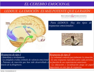 EL CEREBRO EMOCIONAL
      LEDOUX: LA EMOCIÓN ES MÁS POTENTE QUE LA RAZÓN


                                                         Para LEDOUX: Hay dos tipos de
                                                       respuestas emocionales:




 Respuesta de tipo I                                   Respuesta de tipo II
 - Inmediata e involuntaria.                           - La voluntad controla parcialmente la situación.
 - La amígdala evalúa estímulo de valencia emocional   - Es una respuesta específica para cada persona,
 - Patrones de reacción que han sido desarrollado a    en función de sus experiencias anteriores.
 través de la filogénesis.                             - La educación y socialización juega un papel
                                                       importante en este tipo de respuesta.
viernes, 14 de diciembre de 12
 