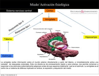 Miedo/ Activación fisiológica
          Sistema nervioso central                               Córtex


                                                                Amígdala
                                       o II
                                 tip
                             sta                    oI
                        ue                      tip
                  es
                      p
                                        e   sta
                R                   u
                                 sp
                           Re
                                                                                                         Hipocampo
      Tálamo




   Estímulo

La amígdala recibe información sobre el mundo exterior directamente a partir del tálamo, e inmediatamente activa una
variedad de respuestas corporales. Esta vía directa es de procesamiento rápido y poco precisa, nos permite comenzar a
responder a los estímulos potencialmente peligrosos antes de que sepamos totalmente qué es el estímulo. La amígdala es el
centro de un sistema de defensa implicado en ambos, la expresión y adquisición del miedo.


viernes, 14 de diciembre de 12
 