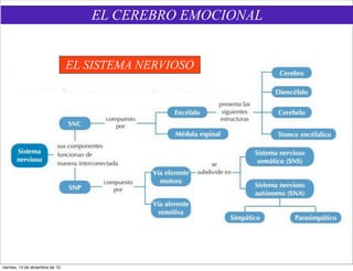 EL CEREBRO EMOCIONAL


                                 EL SISTEMA NERVIOSO




viernes, 14 de diciembre de 12
 