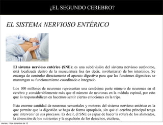 ¿EL SEGUNDO CEREBRO?


     EL SISTEMA NERVIOSO ENTÉRICO




             El sistema nervioso entérico (SNE): es una subdivisión del sistema nervioso autónomo,
             está localizada dentro de la musculatura lisa (es decir, involuntaria) de los intestinos. Se
             encarga de controlar directamente el aparato digestivo para que las funciones digestivas se
             mantengan su funcionamiento coordinado e integrado.

             Los 100 millones de neuronas representan una centésima parte número de neuronas en el
             cerebro y considerablemente más que el número de neuronas en la médula espinal, por esto
             que lo responsabilicen en hacernos sentir ciertas emociones en la tripa.

             Esta enorme cantidad de neuronas sensoriales y motoras del sistema nervioso entérico es la
             que permite que la digestión se haga de forma apropiada, sin que el cerebro principal tenga
             que intervenir en sus procesos. Es decir, el SNE es capaz de hacer la rotura de los alimentos,
             la absorción de los nutrientes y la expulsión de los desechos, etcétera,
viernes, 14 de diciembre de 12
 