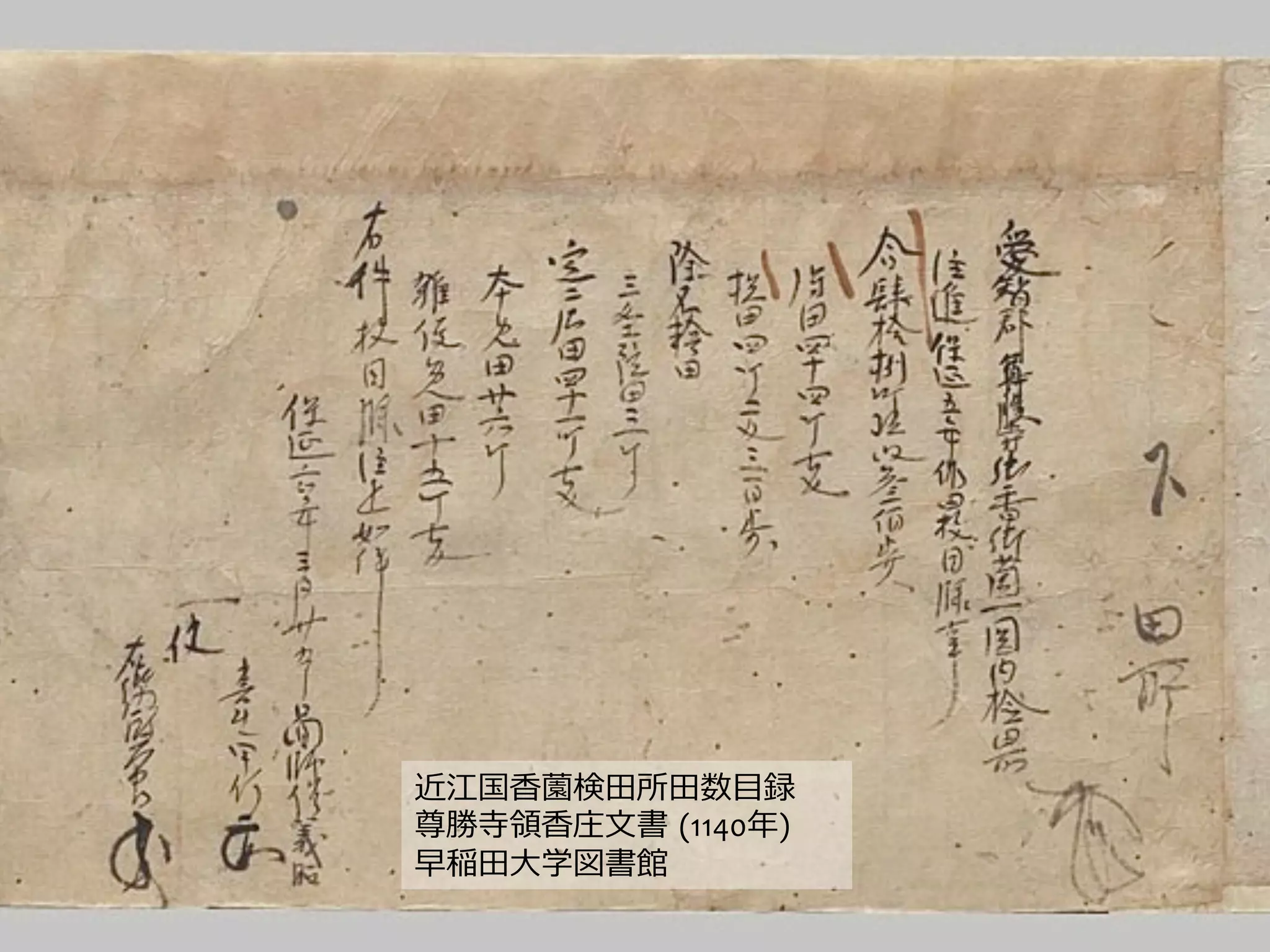 近江国⾹香薗検⽥田所⽥田数⽬目録	
  
尊勝寺領領⾹香庄⽂文書  (1140年年)	
  
早稲⽥田⼤大学図書館  	
  
 