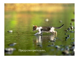 Предусмотрительно,
 