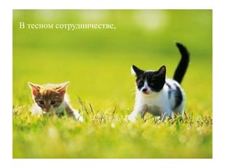 В тесном сотрудничестве,
 