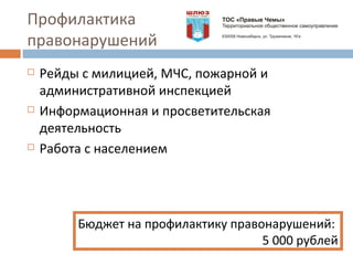 Профилактика правонарушений Рейды с милицией, МЧС, пожарной и административной инспекцией Информационная и просветительская деятельность Работа с населением Бюджет на профилактику правонарушений:  5 000 рублей 