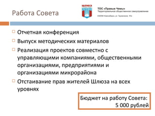 Работа Совета Отчетная конференция Выпуск методических материалов Реализация проектов совместно с управляющими компаниями, общественными организациями, предприятиями и организациями микрорайона Отстаивание прав жителей Шлюза на всех уровнях Бюджет на работу Совета:  5 000 рублей 