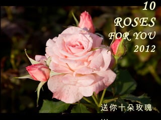 10
 ROSES
FOR YOU
    2012




送你十朵玫瑰
 
